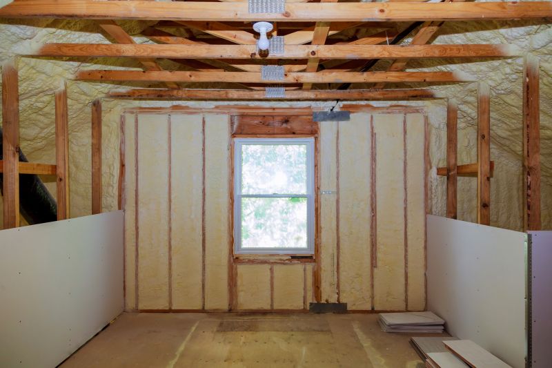 Ceiling Insulation Installation in Georgetown, TX