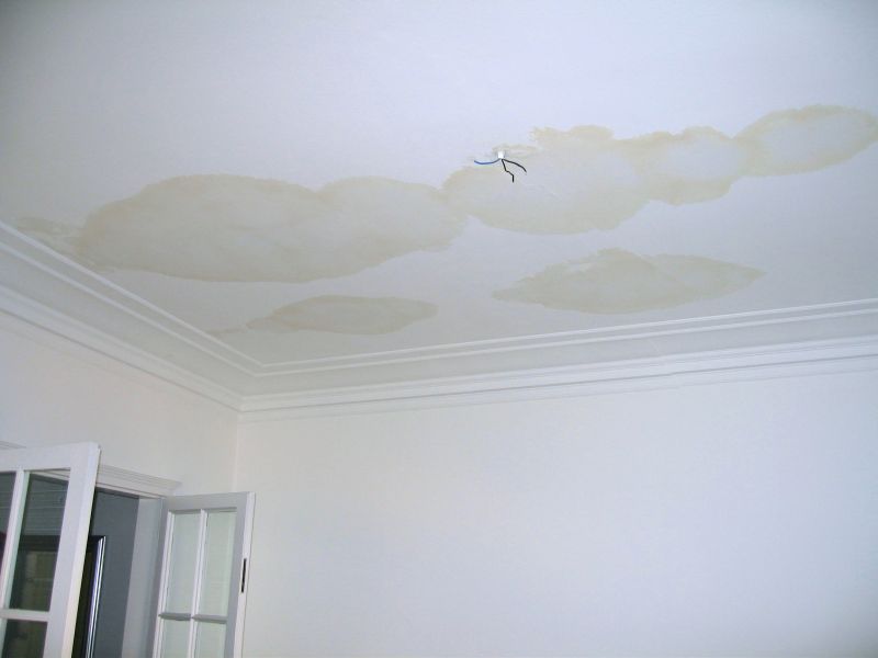 Ceiling Water Damage Repair in Alpharetta, GA