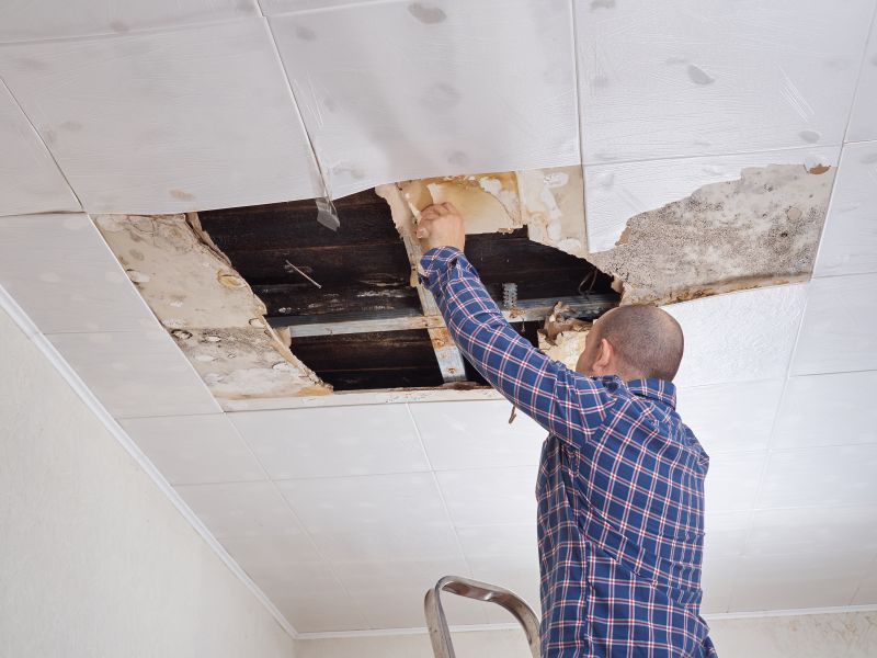 Kitchen Ceiling Repair in Conroe, TX